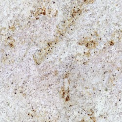 GRANIT COLONIAL CREAM CUIR