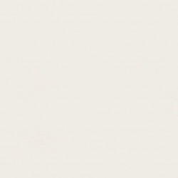 ATLAS ABSOLUTE WHITE SILK